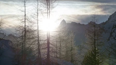 Winter Sunset over Forest Trees Silhouette in Snowy Alps Mountains Time Lapse Stock Footage 71351946
