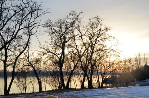 Winter sunset over river with bare trees Fotos de archivo