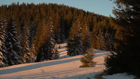 Winter sunset over a snow-covered forest in the mountains Stock Footage 282701286