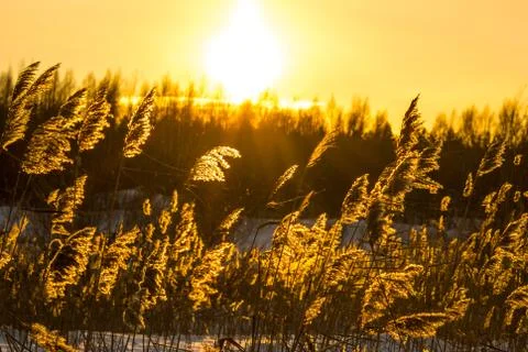 Winter sunset Foto stock