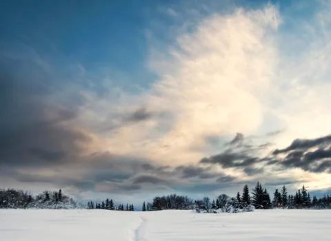 Winter sunset Stock Photos