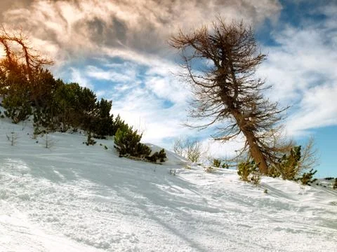 Winter sunset Stock Photos