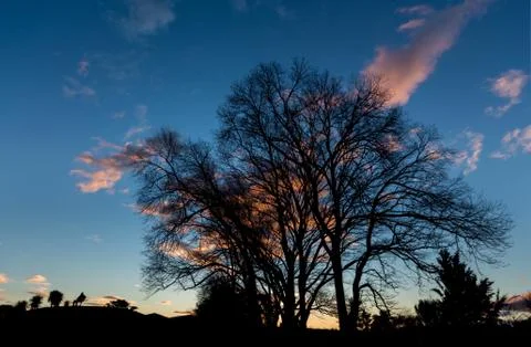 Winter sunset Stock Photos