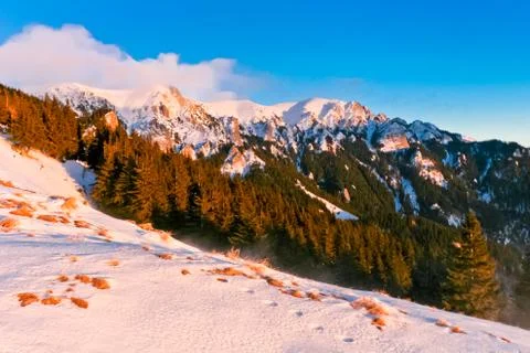 Winter sunset Stock Photos