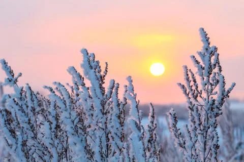 Winter sunset Stock Photos