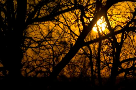 Winter Sunset Stock Photos