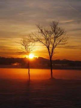 Winter Sunset Stock Photos