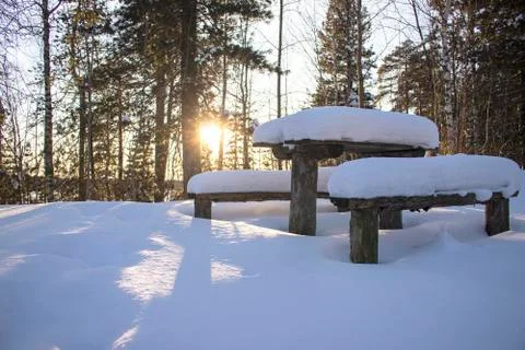 Winter sunset. Stock Photos
