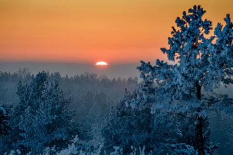 Winter sunset. Stock Photos