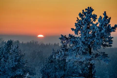 Winter sunset. Stock Photos