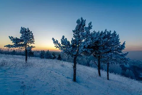 Winter sunset. Stock Photos