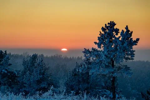 Winter sunset. Stock Photos