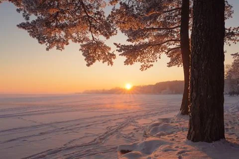 Winter sunset Stock Photos