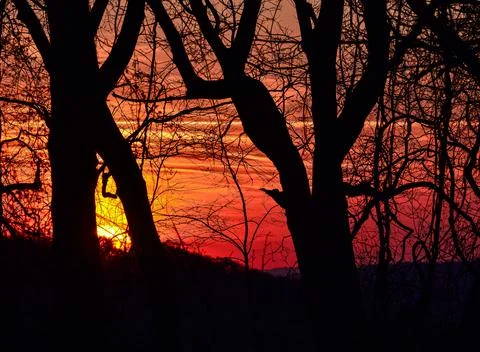 Winter Sunset Foto stock