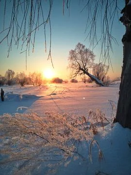 Winter sunset Foto stock