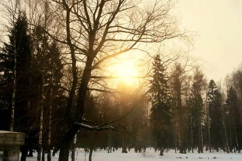 Winter sunset Fotos Stock