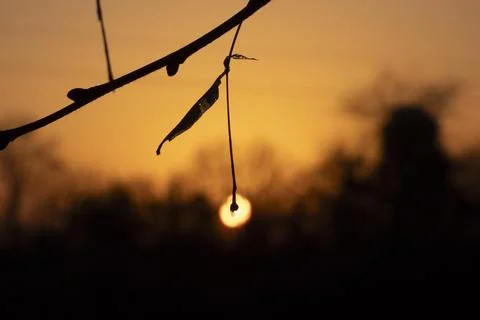 Winter sunset Foto stock
