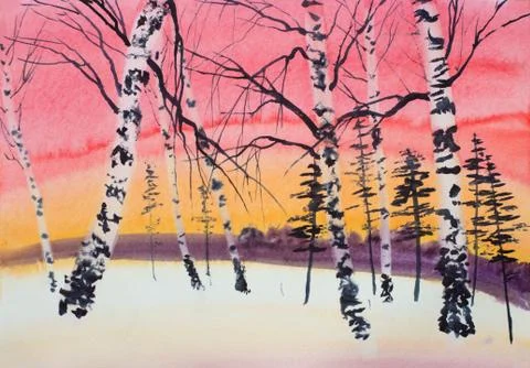 Winter sunset pine and birch Stock Illustration