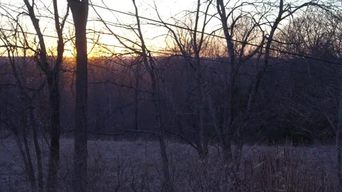 Winter Sunset in Rural Setting, Country Magic Hour Establishing Shot Stock Footage 303918168