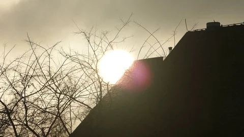 Winter sunset with silhouette trees.  Stock Footage 70887038