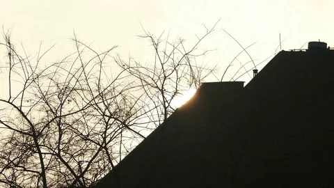 Winter sunset with silhouette trees.  Stock Footage 70887114