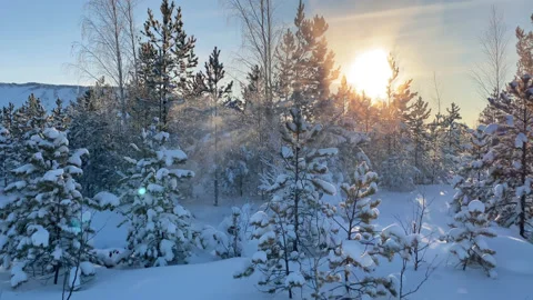 Winter sunset in a snowy forest Stock Footage 153371490
