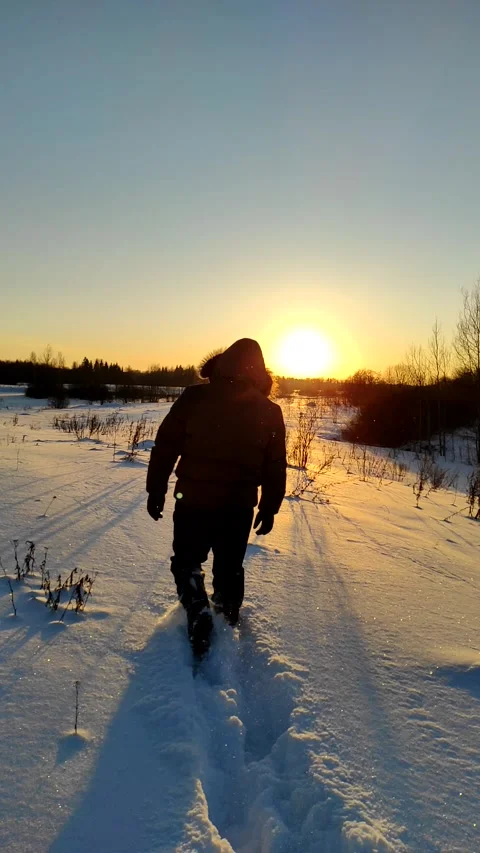 Winter, sunset sun (1) Video stock 267616843