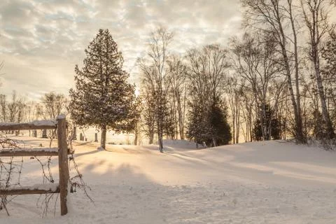 Winter Sunset Tree 写真素材