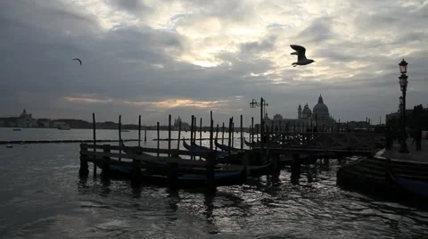 Winter Sunset in Venice 2 Video stock 1071571