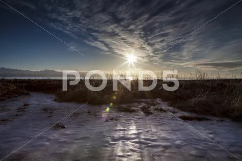 Winter sunshine Stock Photos