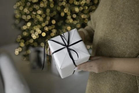 A Winter Surprise Foto stock