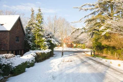 Winter in Surrey 写真素材