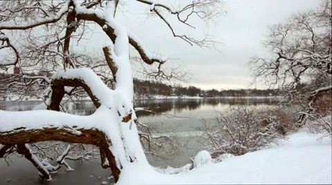 Winter in Sweden Stock Footage 46511329