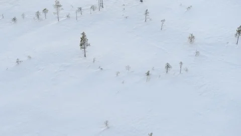 WInter in Sweden Vídeos de archivo 88535484