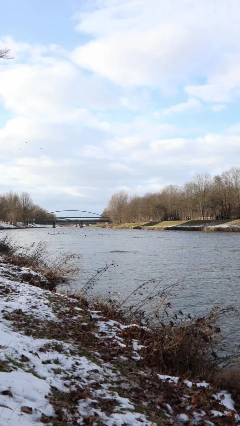 Winter swimmer on long training route Stock Footage 329632701
