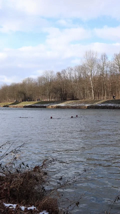 Winter swimmers on mid distance segment Stock Footage 329632675