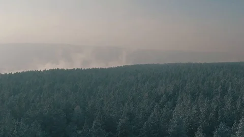 WINTER TAIGA Stock Footage 107351666