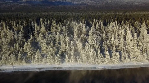 Winter taiga in Russia Stock Footage 104093035