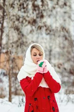 Winter Tale Stock Photos