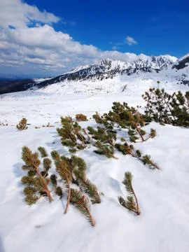 Winter in tatra mountains Stock Photos