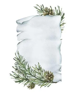 Winter template with spruce branches and pinecones on paper scroll, minimalistic 스톡 일러스트