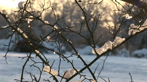 Winter theme Video stock 828623