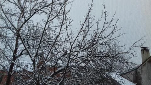 Winter through the Window Stock Photos