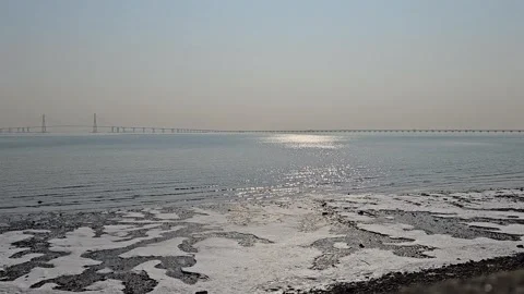 Winter Tidal Flats and Calm Ocean with Distant Sea Bridge, 4K Vídeos de archivo 330165319