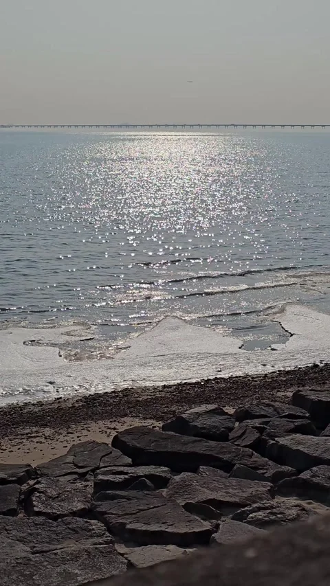 Winter Tidal Flats with Sparkling Ocean Sunlight and Distant Sea Bridge, 4K Vídeos de archivo 330165372