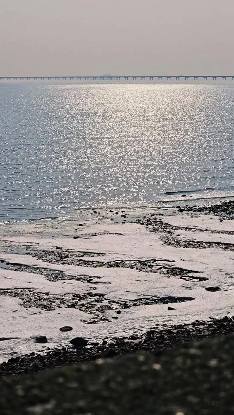 Winter Tidal Flats with Sparkling Sunlight on Calm Ocean, 4K Vídeos de archivo 330165326