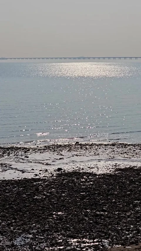 Winter Tidal Flats with Sunlight Reflection and Distant Sea Bridge, 4K Vídeos de archivo 330165335