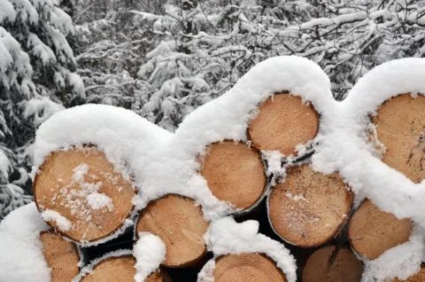 Winter timber stack Stock Photos