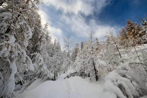 Winter time in the alps. Foto stock