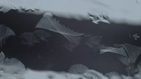 Winter time Christmas nature miracles Stock Footage 100188968